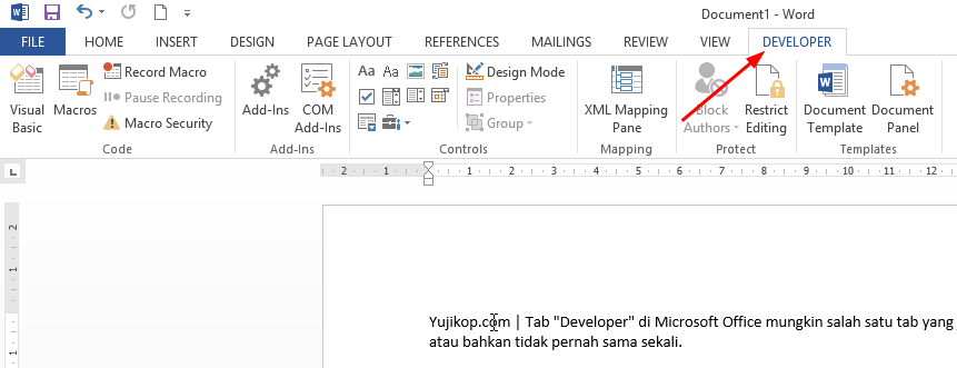 Tab Developer Office 2013